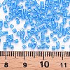 Glass Bugle Beads SEED-S032-11A-103B-4