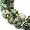 Natural African Turquoise(Jasper) Beads Strands G-I376-D29-01-3