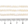 Natural Trochus Shell Beads Strands SHEL-P017-05-4
