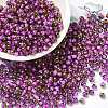 Glass Seed Beads SEED-H002-B-D207-1