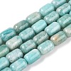 Natural Amazonite Beads Strands G-G980-36B-1