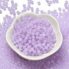 Imitation Jade Glass Seed Beads SEED-C001-02C-02-2