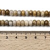 Natural Fossil Coral Beads Strands G-A280-A08-01-5