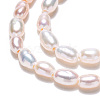 Natural Cultured Freshwater Pearl Beads Strands PEAR-N012-02K-5