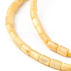 Natural Freshwater Shell Dyed Beads Strands X-SHEL-M018-12-01-3