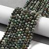 Natural African Turquoise(Jasper) Beads Strands G-G140-A11-03-2