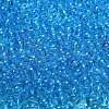 Transparent Colours Glass Seed Beads SEED-C001-02A-03-3