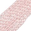 Transparent Glass Beads Strands GLAA-Z018-C22-1