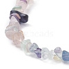 Natural Fluorite Chip Beaded Necklace NJEW-JN03824-02-4