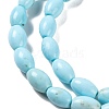 Natural Howlite Beads Strands G-H025-02A-4