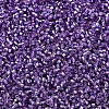 MIYUKI Delica Beads SEED-MY11-DB2168-3