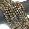 Natural Lodolite Quartz Beads Strands G-K389-A24-01-2