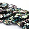 Natural Paua Shell Beads Strands SSHEL-J047-07A-1