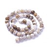 Natural America Petrified Wood Beads Strands G-P430-08-C-1