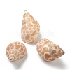 Natural Spiral Shell Beads BSHE-H015-10-1