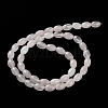 Natural Rose Quartz Beads Strands G-I369-B16-01-3