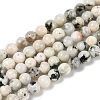 Natural Rainbow Moonstone Beads Strands G-H093-B01-8MM-1