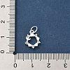 925 Sterling Silver Pave Clear Cubic Zirconia Pendants STER-G049-01D-S-3