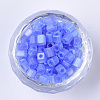 6/0 Transparent Glass Seed Beads SEED-S027-03B-06-2