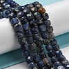 Natural Sodalite Beads Strands G-G005-B03-01-2