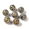 Natural Dalmatian Jasper No Hole Sphere Beads G-K353-04D-16-1