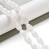 Natural Quartz Crystal Beads Strands G-B106-B16-01-2