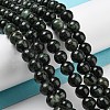 Natural Serpentine Beads Strands G-P504-6mm-01-2