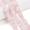 Natural Rose Quartz Beads Strands G-T141-22-1