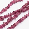 Chips Natural Tourmaline Beads Strands G-N0164-04B-1