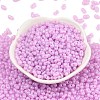 Baking Paint Glass Seed Beads SEED-L011-09A-10-2