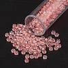 11/0 FGB Grade A Transparent Glass Seed Beads X-SEED-N001-D-211-1