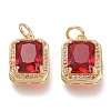 Brass Glass Charms ZIRC-F116-09-G-2