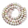 Ombre Effect Dyed Glass Beads Strands X-GLAA-C023-02-B03-2
