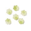 Glass Beads GLAA-D303-04C-1