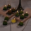 Cactus Paraffin Smokeless Candles DIY-G024-F-9