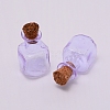Mini High Borosilicate Glass Bottles GLAA-WH0018-76E-2
