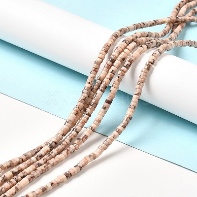 Natural Fossil Beads Strands G-I339-05-1