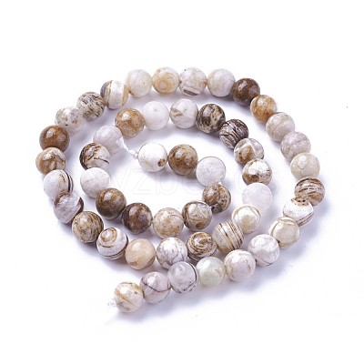 Natural America Petrified Wood Beads Strands G-P430-08-C-1