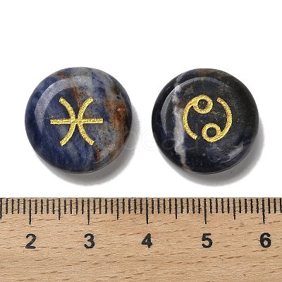 12 Constellation Natural Blue Spot Jasper Cabochons Set G-Q190-03B-1