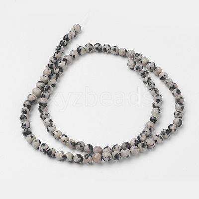 Natural Dalmatian Jasper Bead Strands G-G735-68-4mm-1