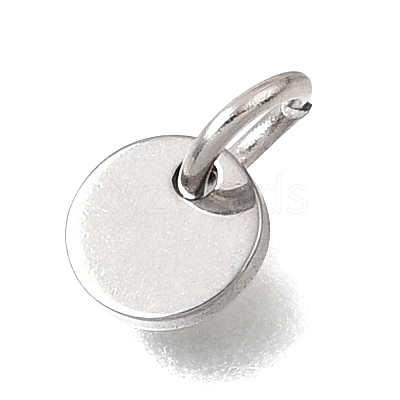 304 Stainless Steel Charms SA-CBA4CE0-02P-1