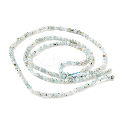 Natural Larimar Beads Strands G-L627-A01-2mm-1