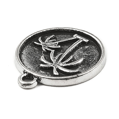 DIY Alloy Pendants PALLOY-D017-01F-AS-1