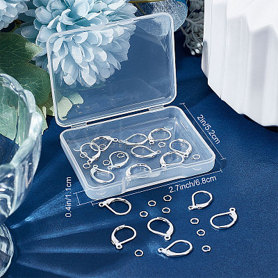 20Pcs 2 Style Brass Leverback Earring Findings with Loop DIY-BBC0001-02S-1