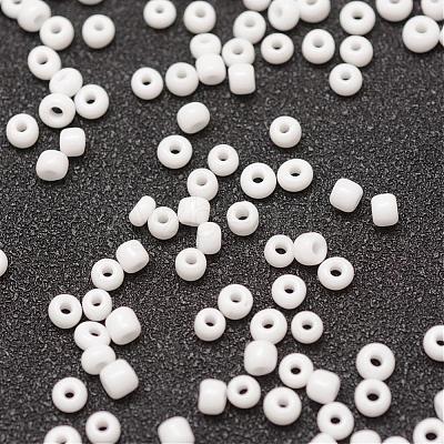 6/0 Glass Seed Beads SEED-J014-F6-41-1