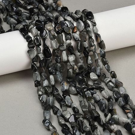Natural Eagle Eye Stone Beads Strands G-Q060-D06-1