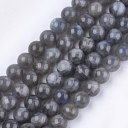 Natural Labradorite Beads Strands G-S333-10mm-035-1