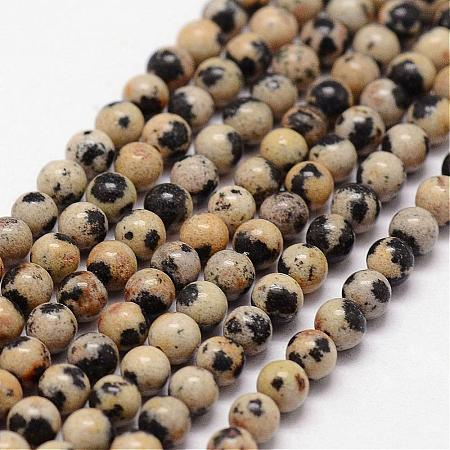 Natural Dalmatian Jasper Beads Strands G-N0183-05-3mm-1