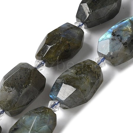 Natural Labradorite Beads Strands G-H095-A11-01-1