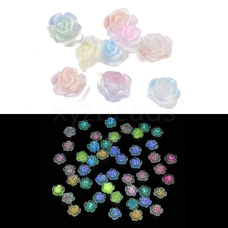 Luminous Resin Decoden Cabochons RESI-K036-09C-1